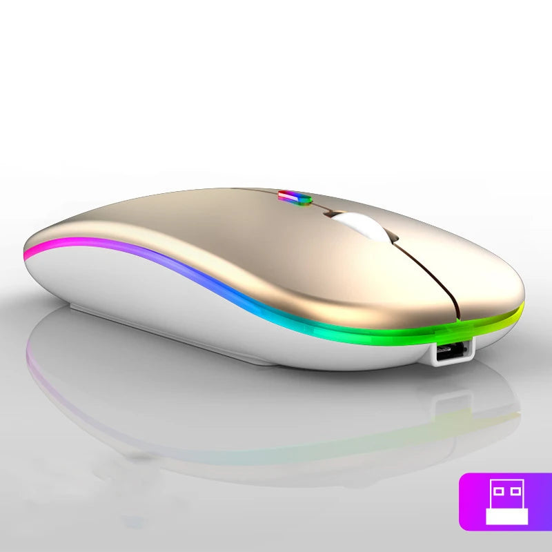 2.4GHz Wireless Mouse Bluetooth Mouse Mice Rechargeable Mouse Silent Mouse LED Backlit USB Gaming Mouse 1600DPI for PC Laptop